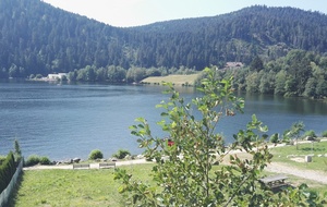 Lac de Géradmer
